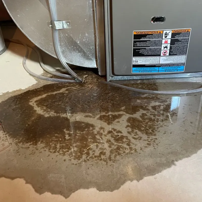 Pipe Burst and Leak Restoration in Paw Paw, MI