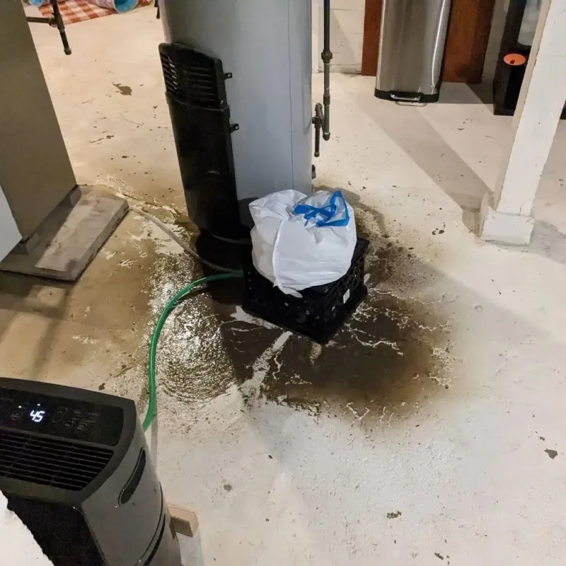 Sewage Backup Cleanup Service in Paw Paw, MI